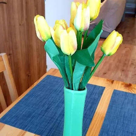 Bambulka 아파트 *