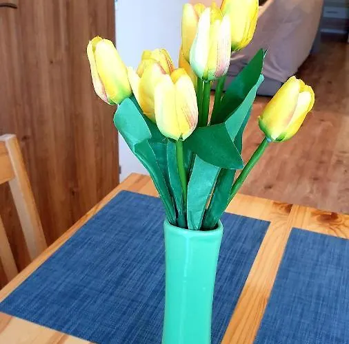 Bambulka Appartement *